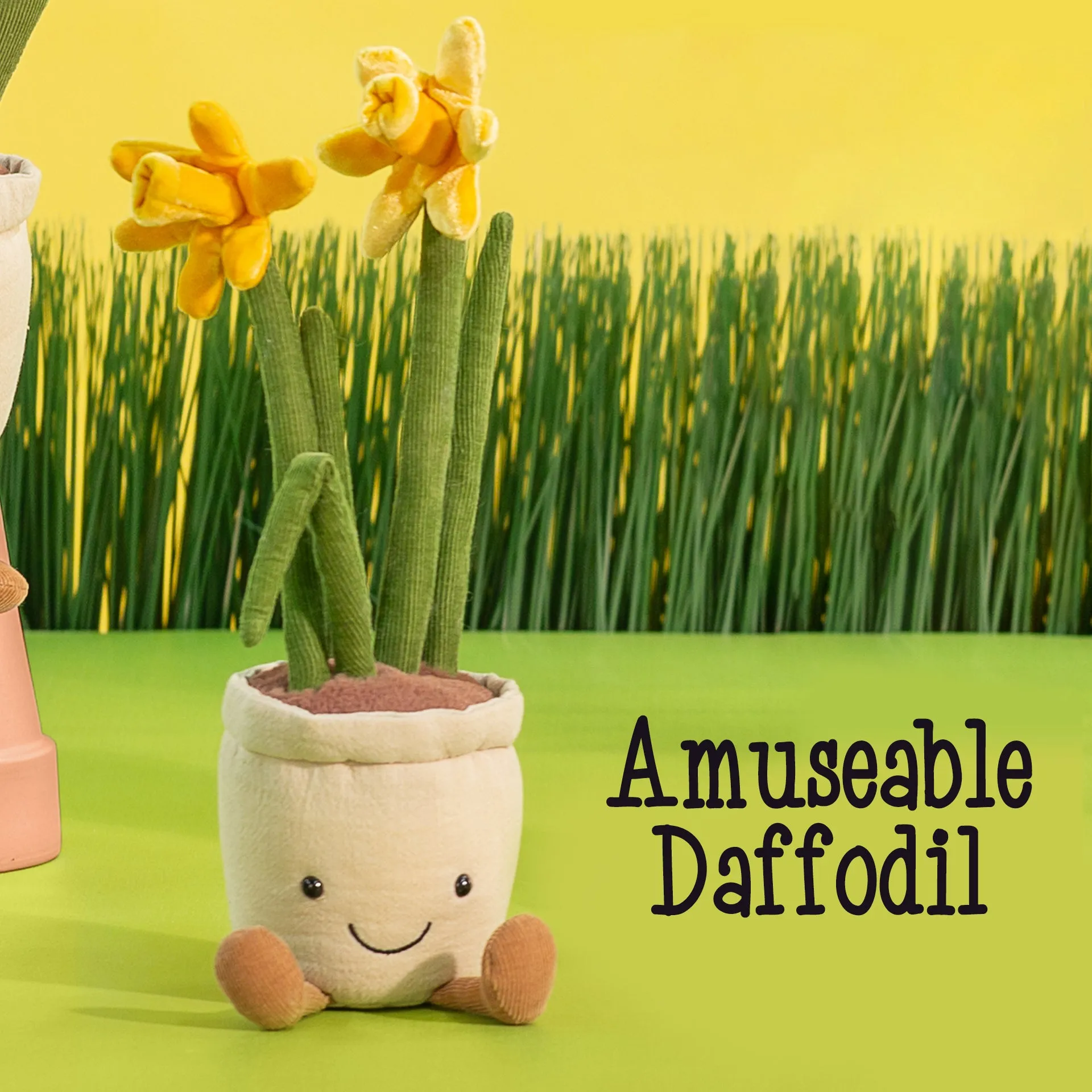 Amuseable Daffodil