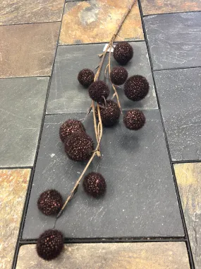 Brown Billy Balls