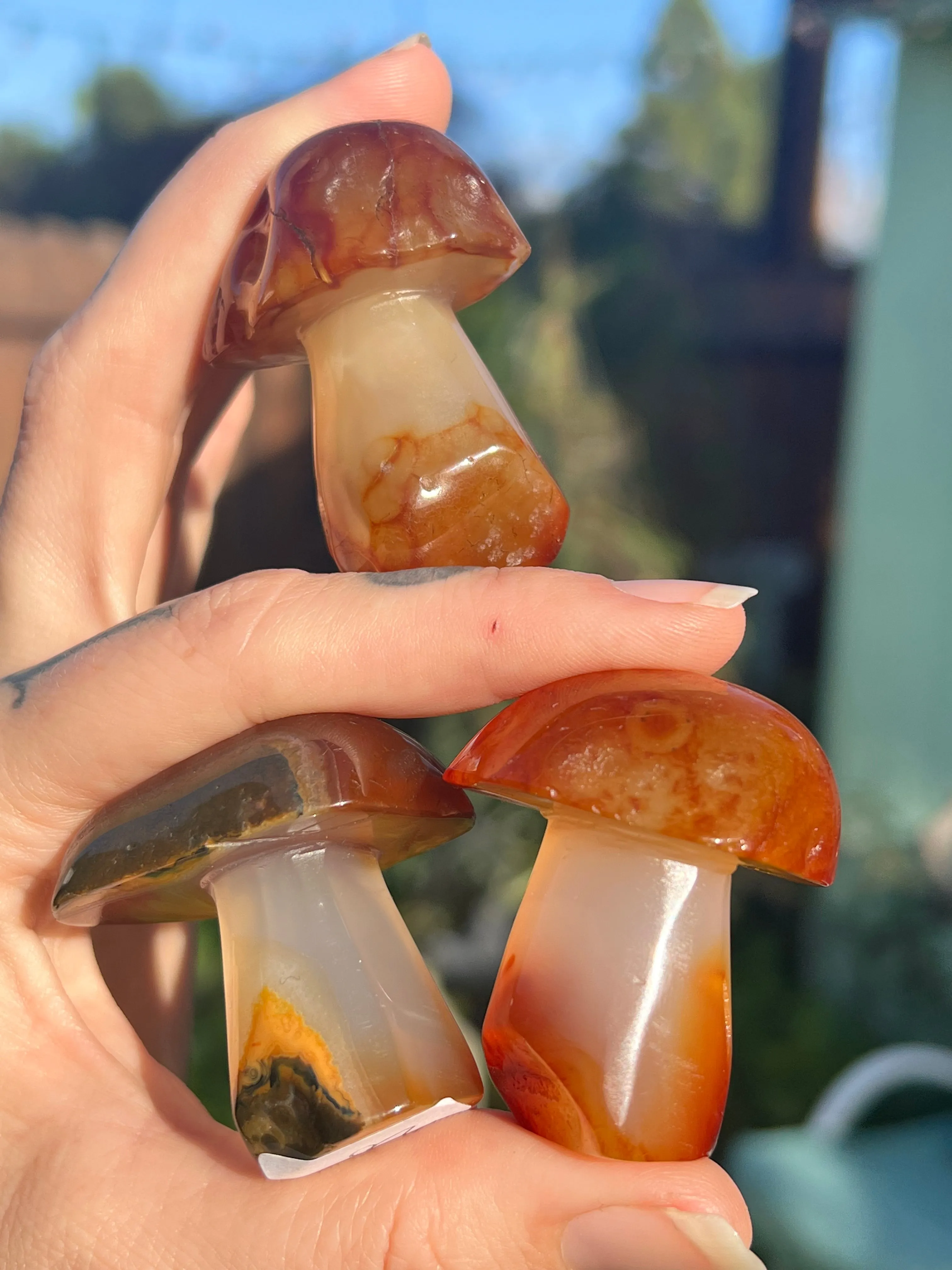 Carnelian mushroom carving