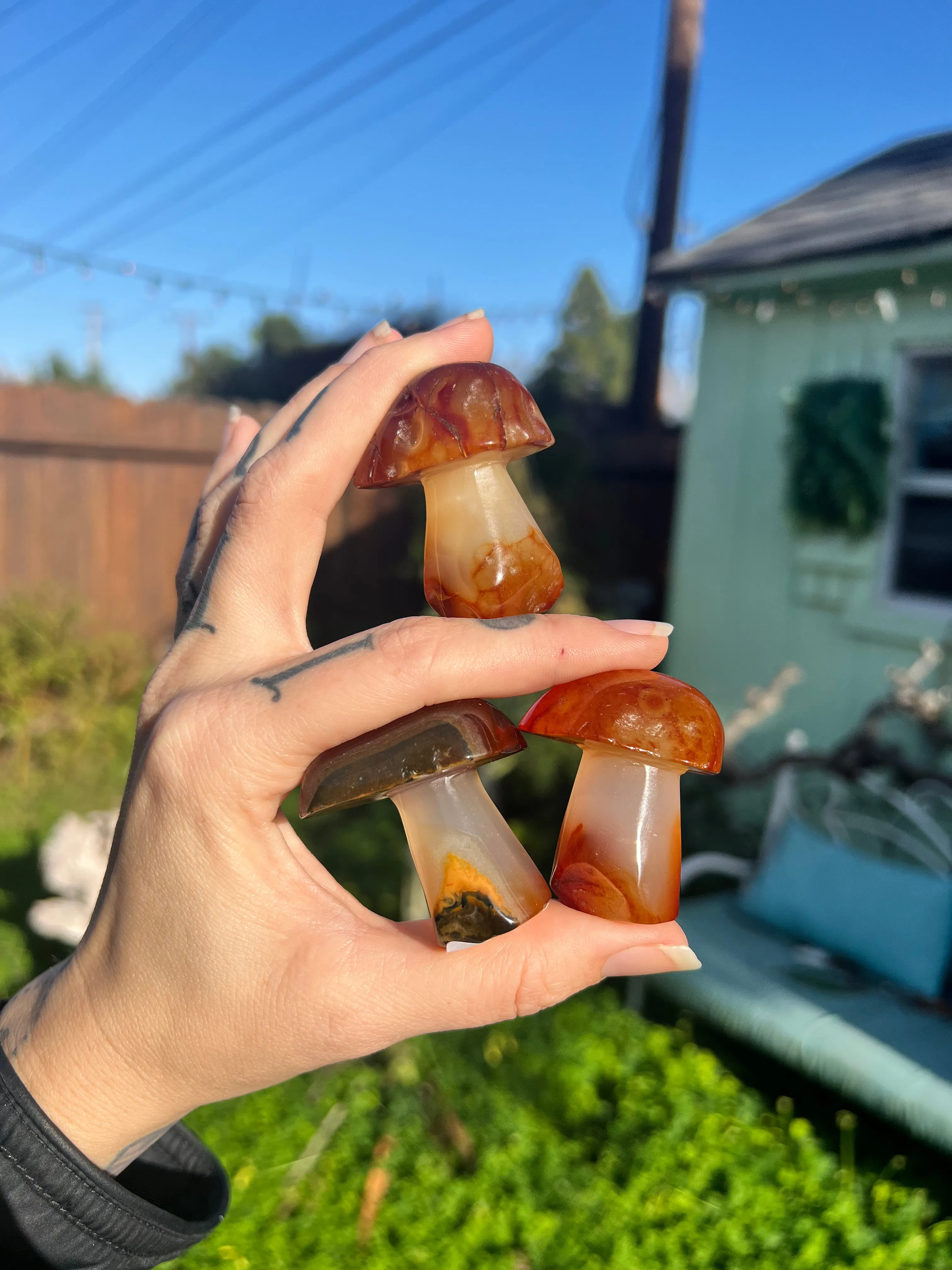 Carnelian mushroom carving