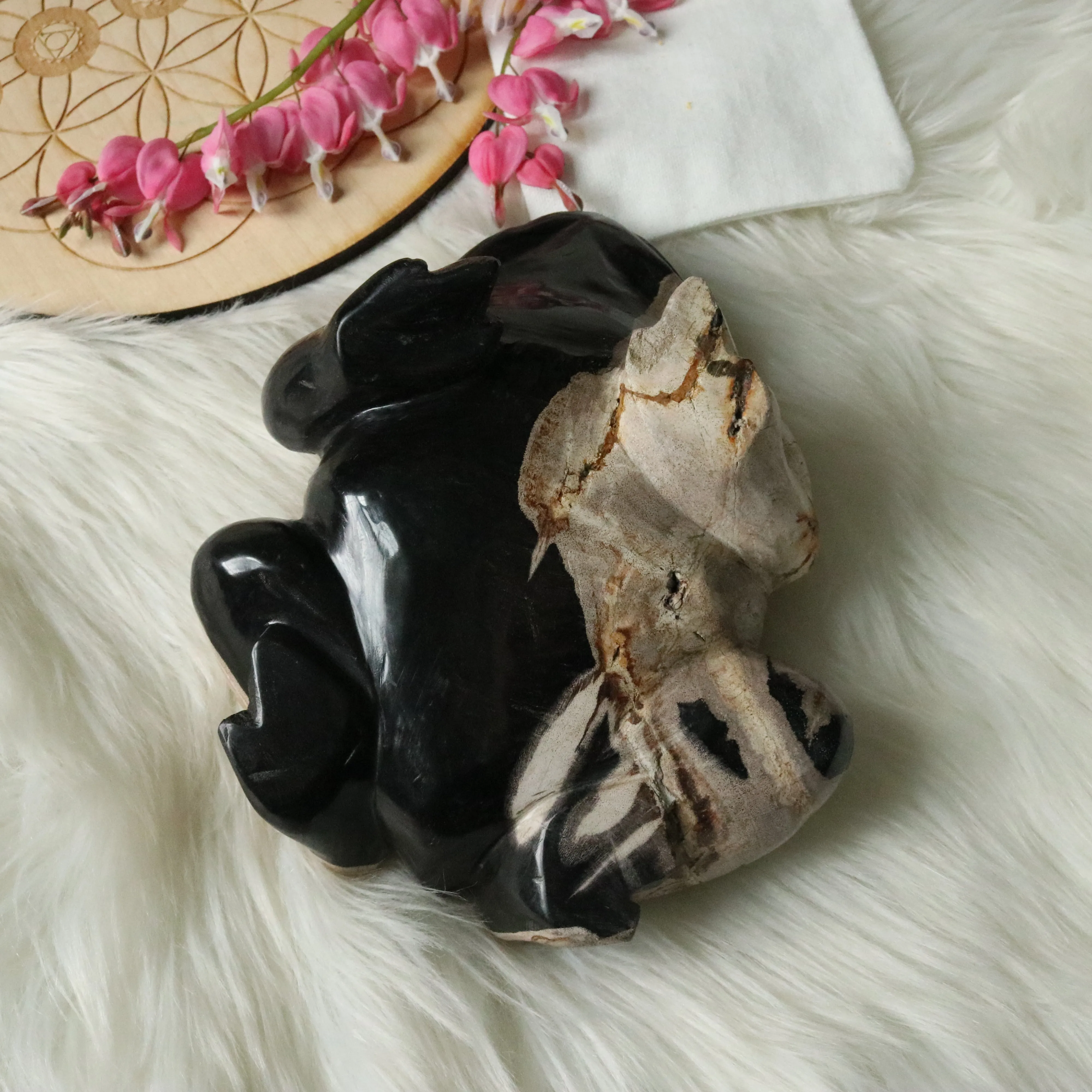 Extremely Unique Petrified Palm Root Carved Toad ~Large Display Carved Specimen