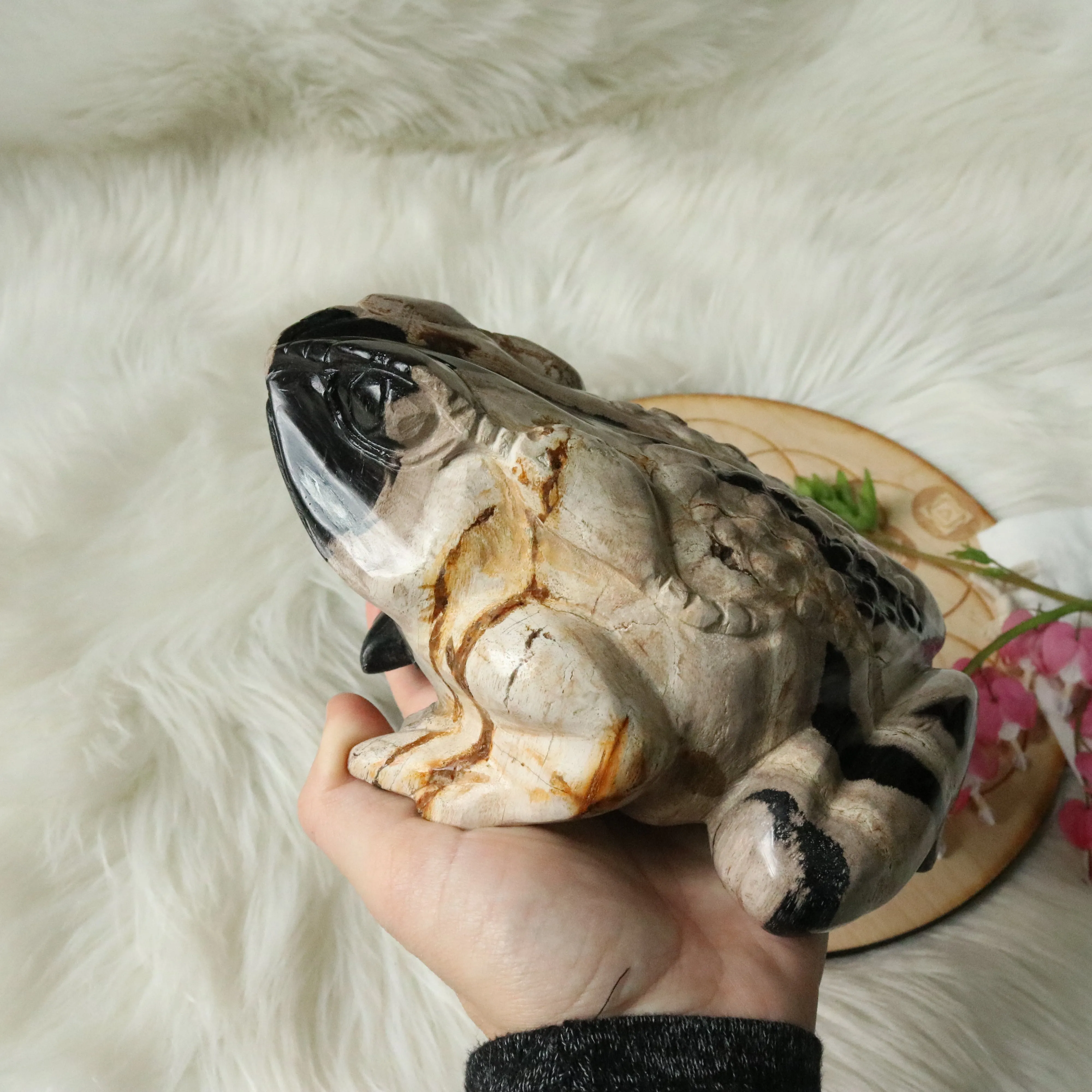 Extremely Unique Petrified Palm Root Carved Toad ~Large Display Carved Specimen