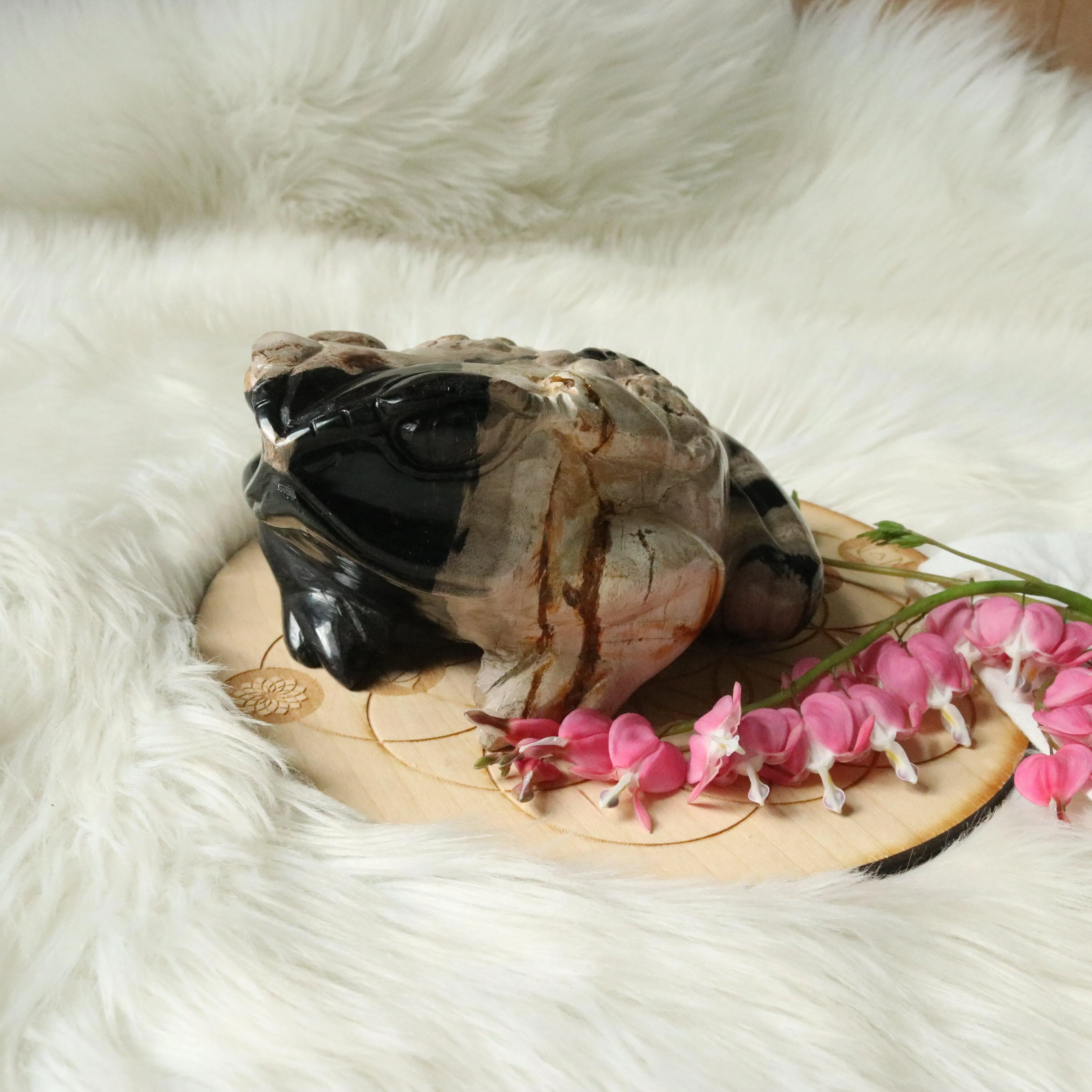 Extremely Unique Petrified Palm Root Carved Toad ~Large Display Carved Specimen