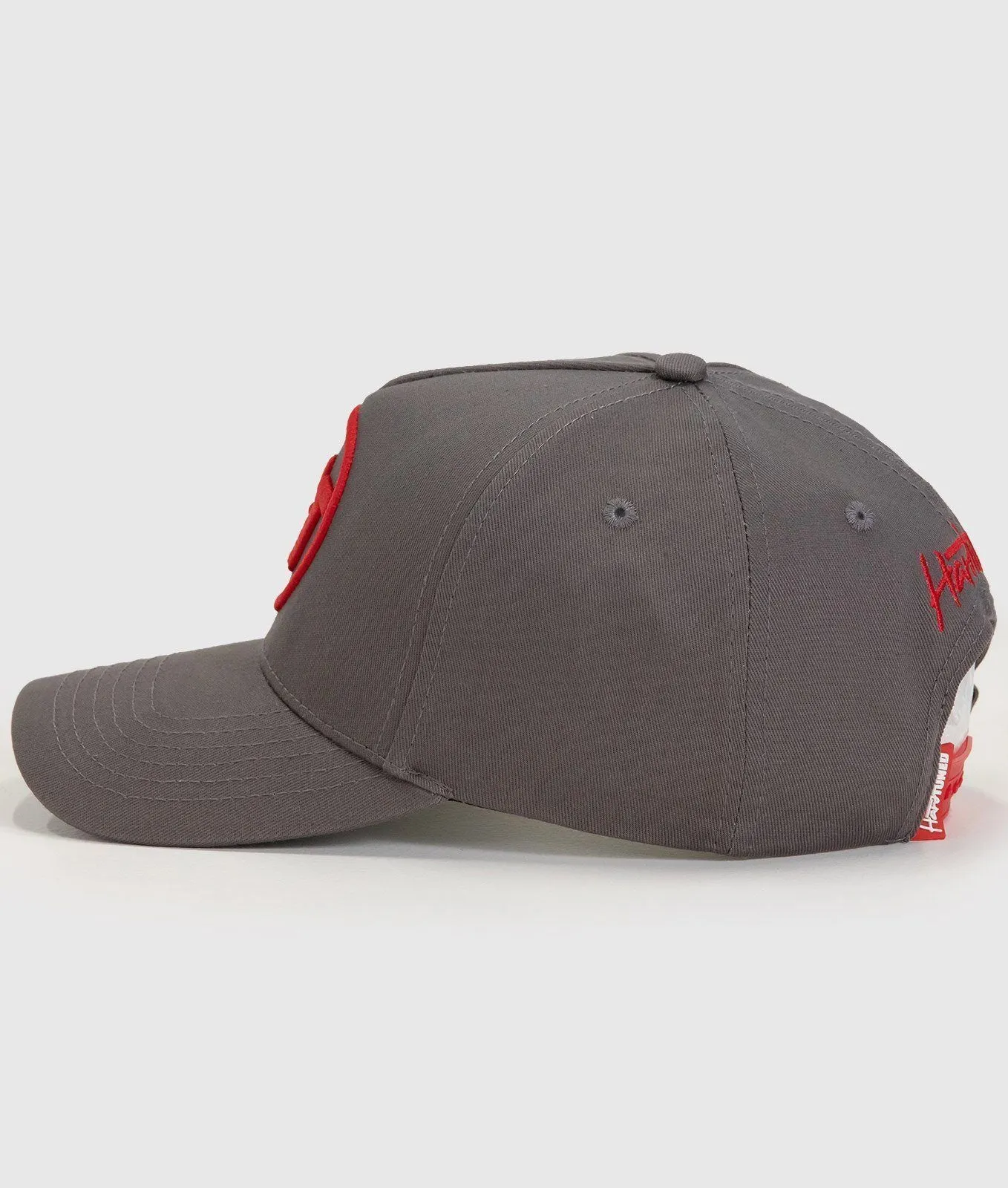 Hardtuned Baller Gray A-Frame Cap