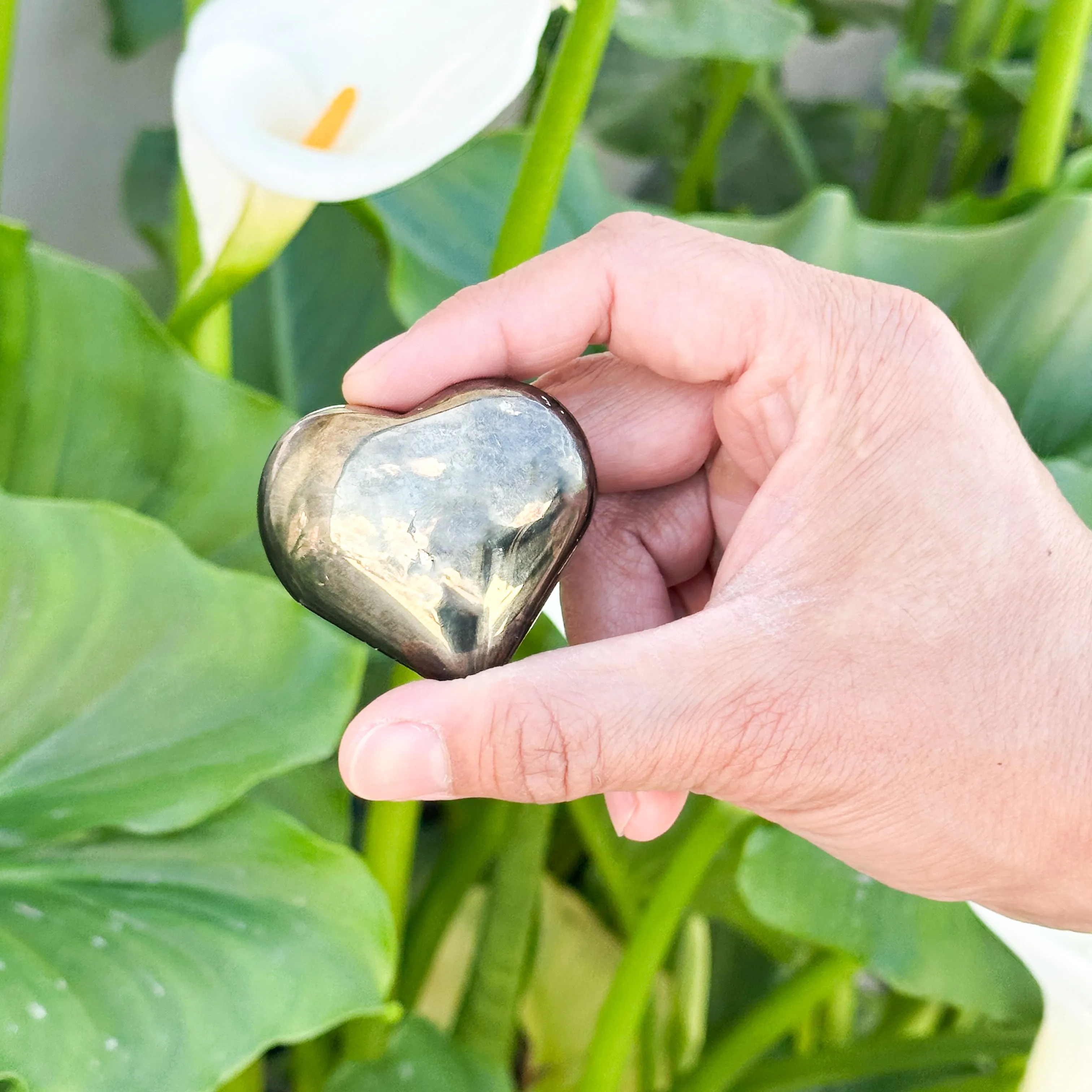 Pyrite Heart