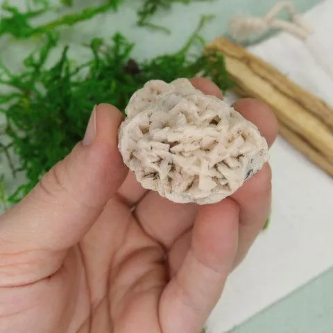 Raw Pink Dolomite Specimen~ Chakra Balancing Stone